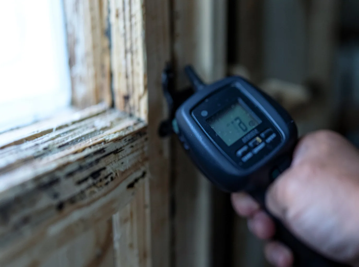 Moisture Inspection And Documentation in Smithdale, MS